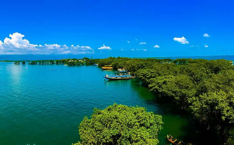 Tanguar Haor